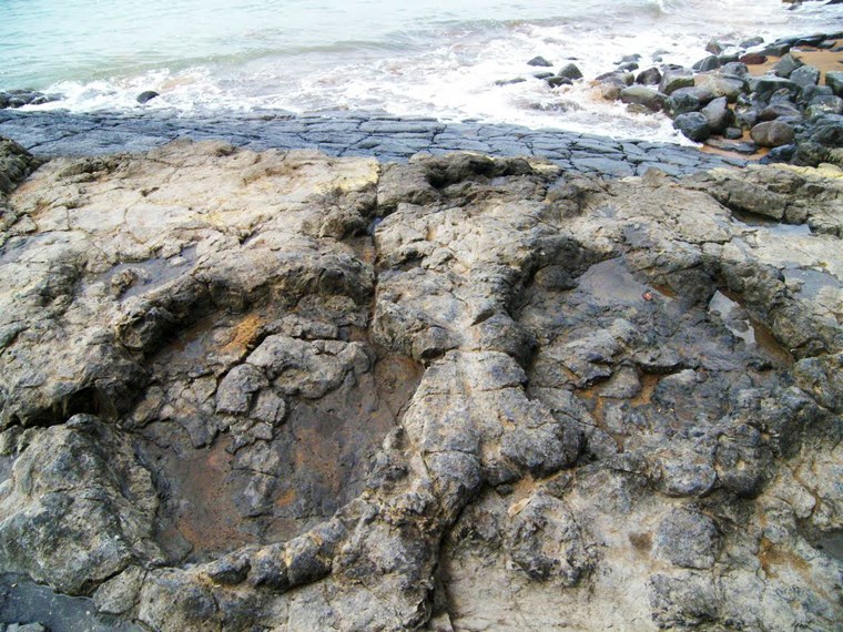 Huellas de Dinosaurios, Playa La Griega, Colunga